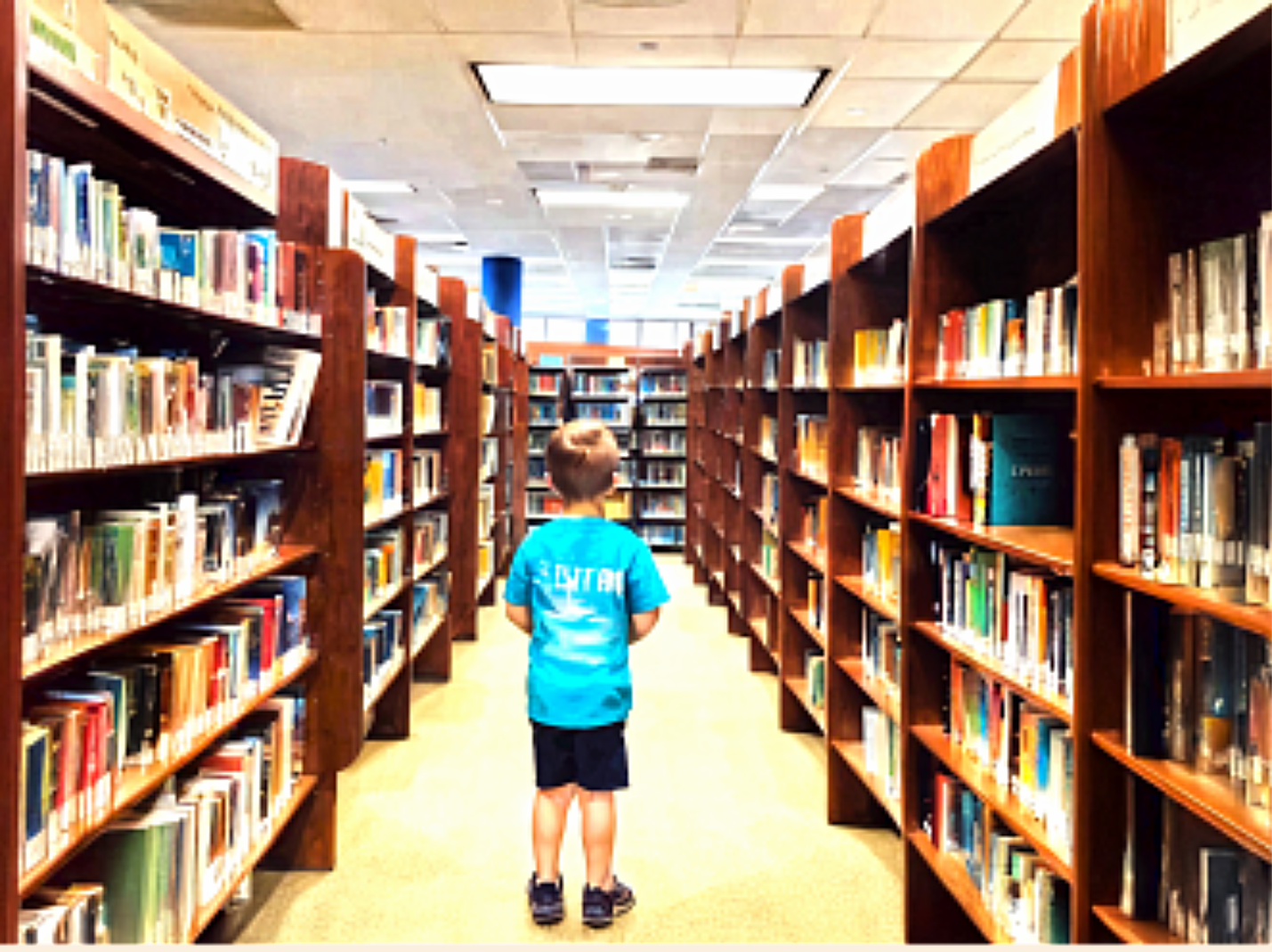 What Should He Study? AI Has Unraveled the Computer Science-to-Career Pipeline