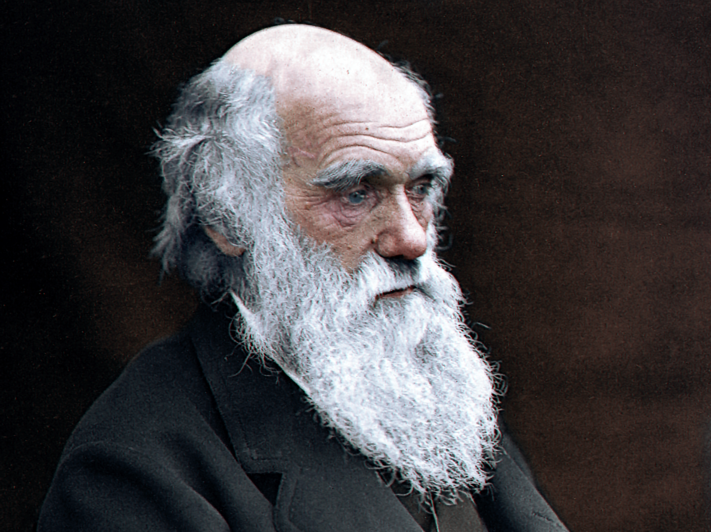 Darwinism, Reconsidered