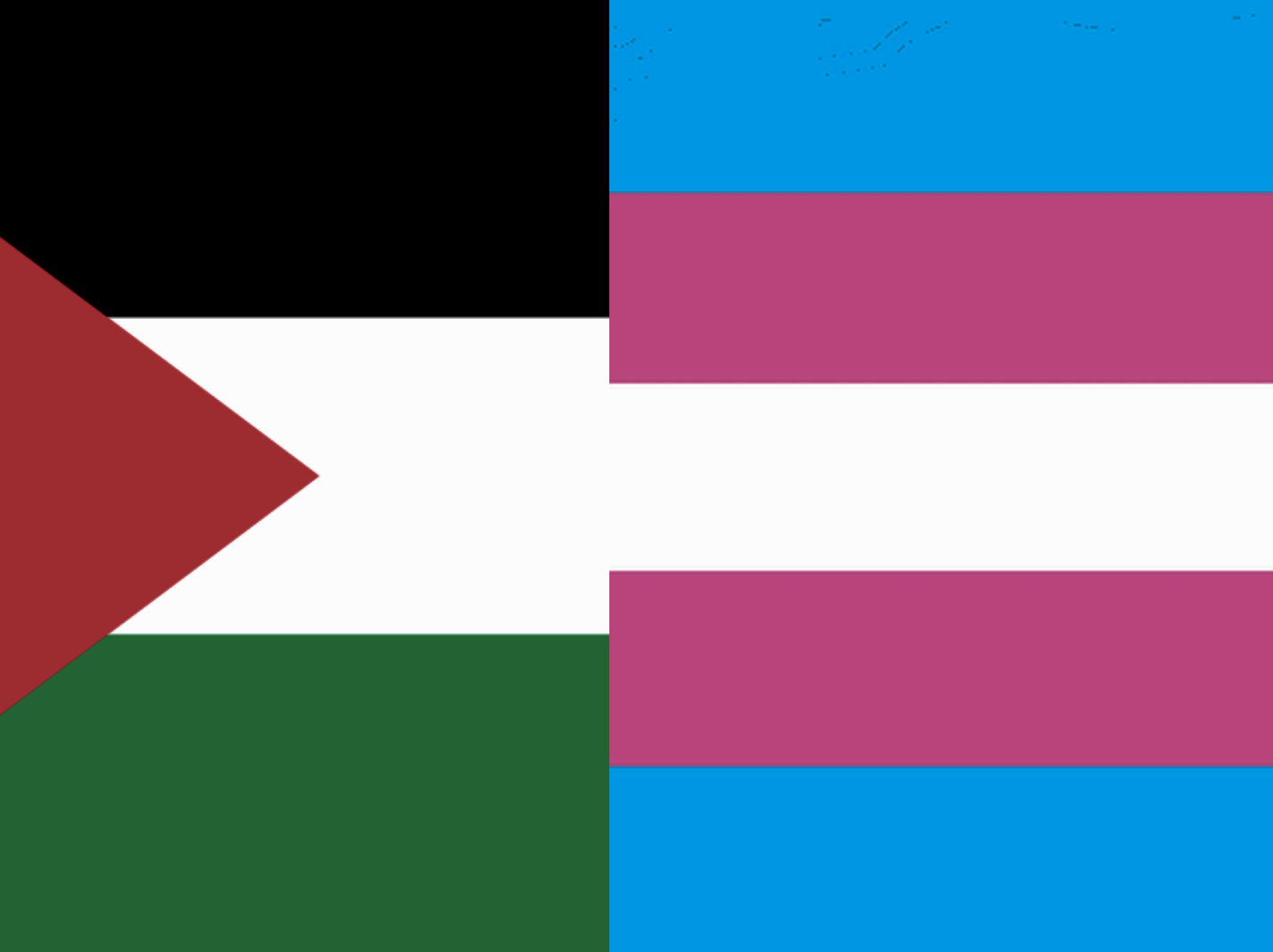 Trans and Palestinian Identities: Partners in Fabrication?