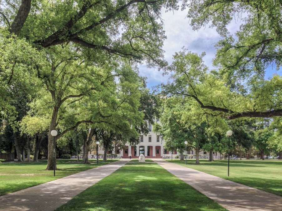 A Point Worth Acknowledging — Minding The Campus