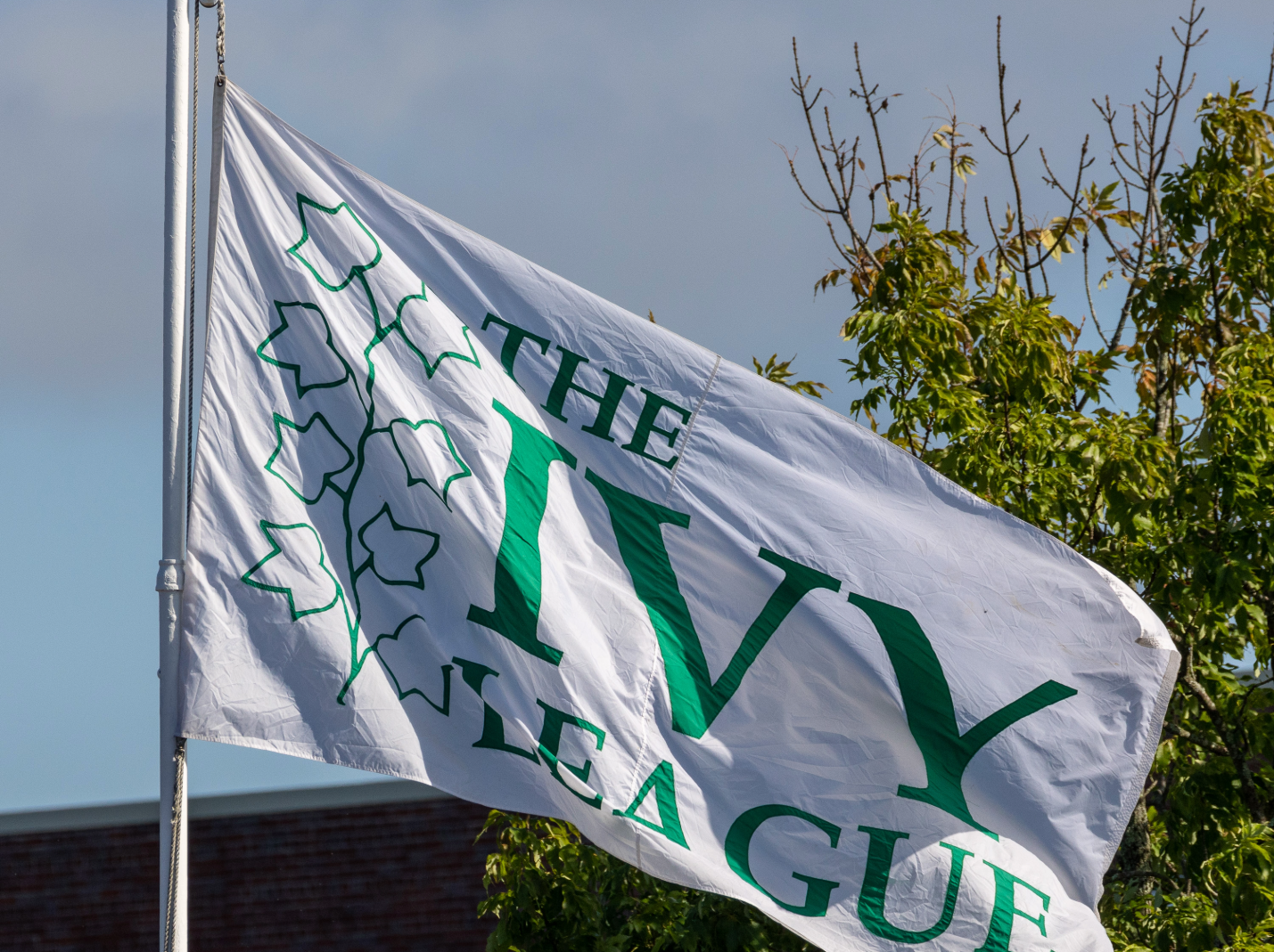 What the Ivy League Is Really Selling