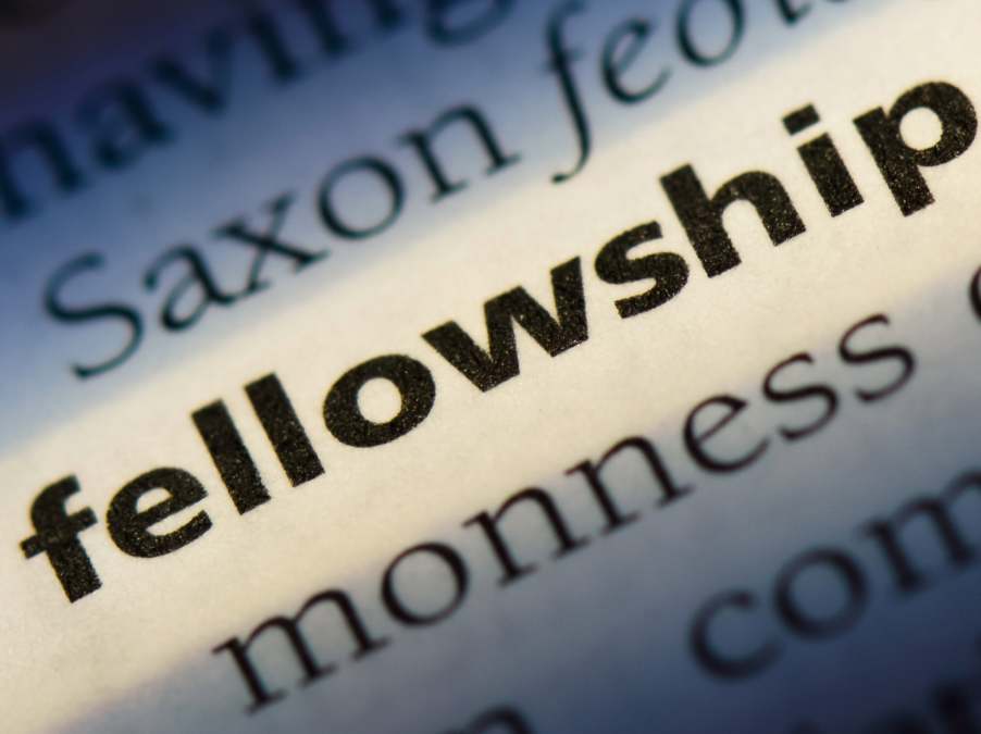 Against Boutique Education