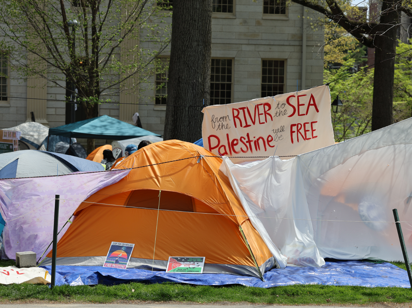 Harvard Faculty Are Wrong About Campus Anti-Semitism