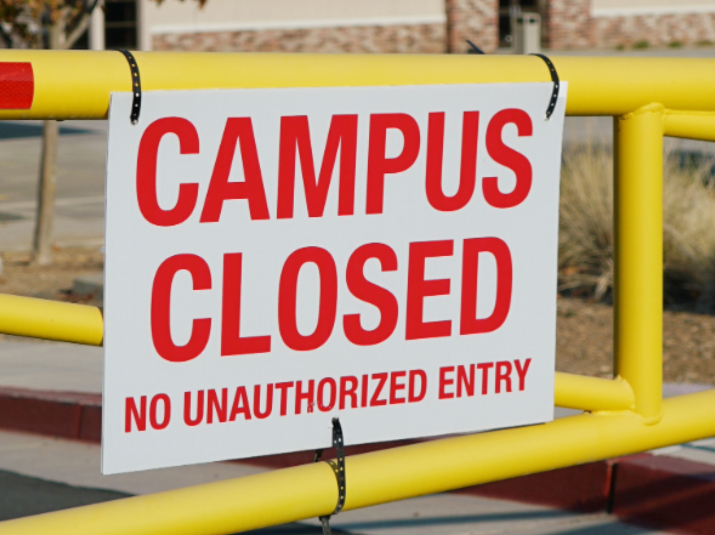 What to Make of the Wave of College Closures