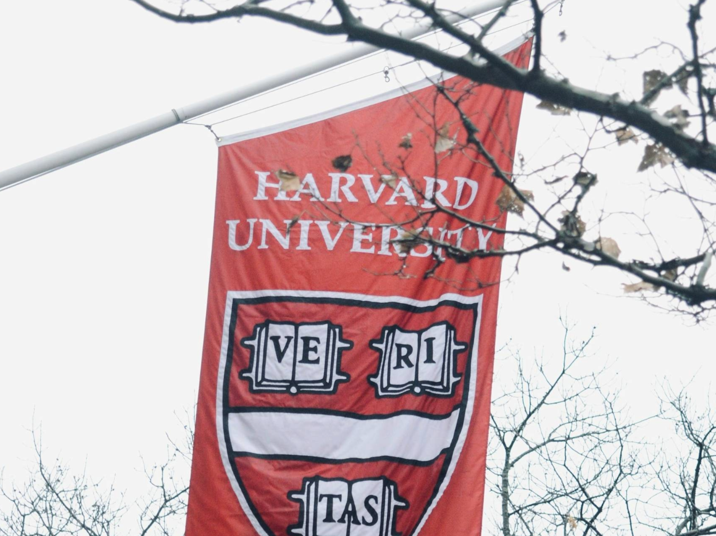 Harvard’s $10 Million Viewpoint Diversity Fix Won’t Work — Minding The Campus